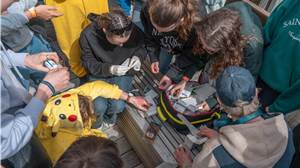 Gratis vorming voor het jeugdwerk via Tikkertje Taal